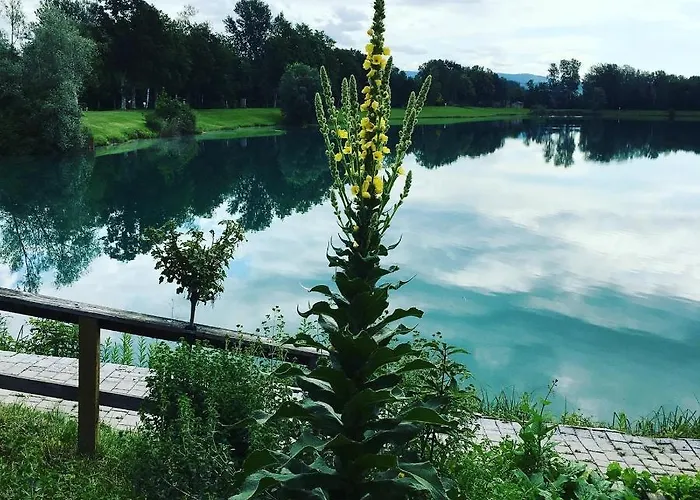 Διαμέρισμα Heurigenbar Feldkirchen an der Donau