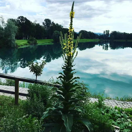 Appartement Heurigenbar Feldkirchen an der Donau